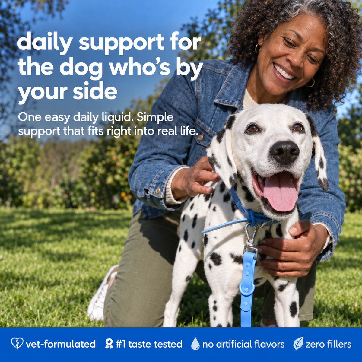 Vytal Paws — NAD+ Healthy-Ageing Support