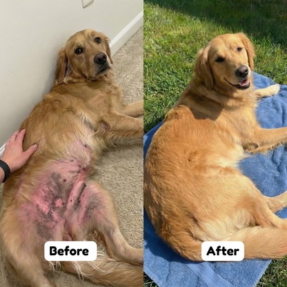 PETVITA™ Triple Collagen