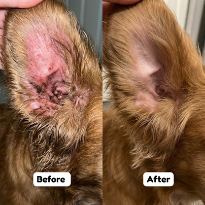 PETVITA™ Triple Collagen