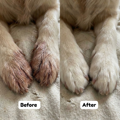 PETVITA™ Triple Collagen