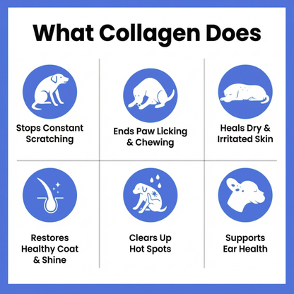 PETVITA™ Triple Collagen