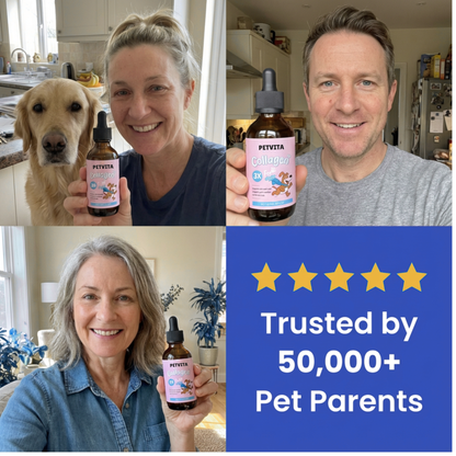 PETVITA™ Triple Collagen