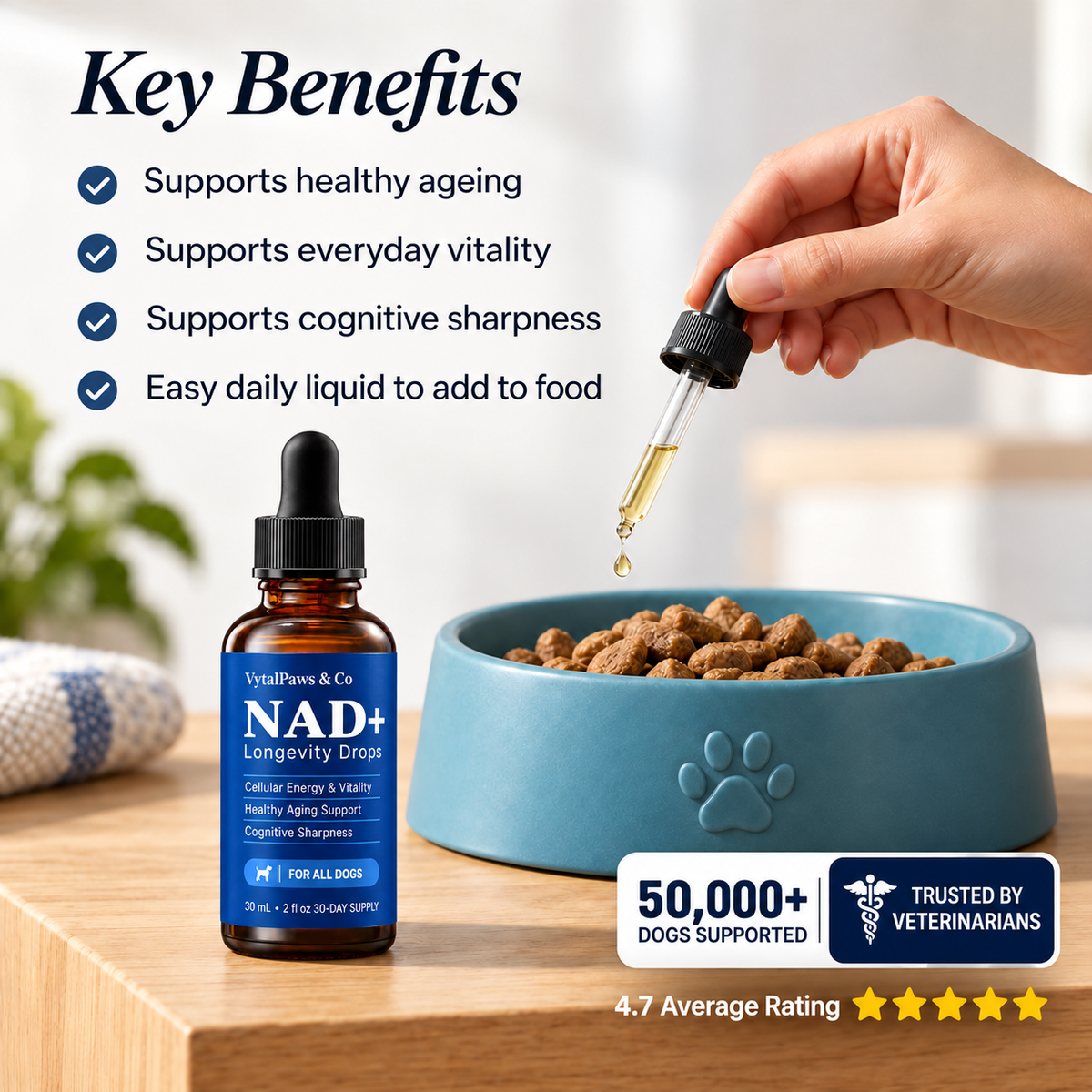 Vytal Paws — NAD+ Healthy-Ageing Support