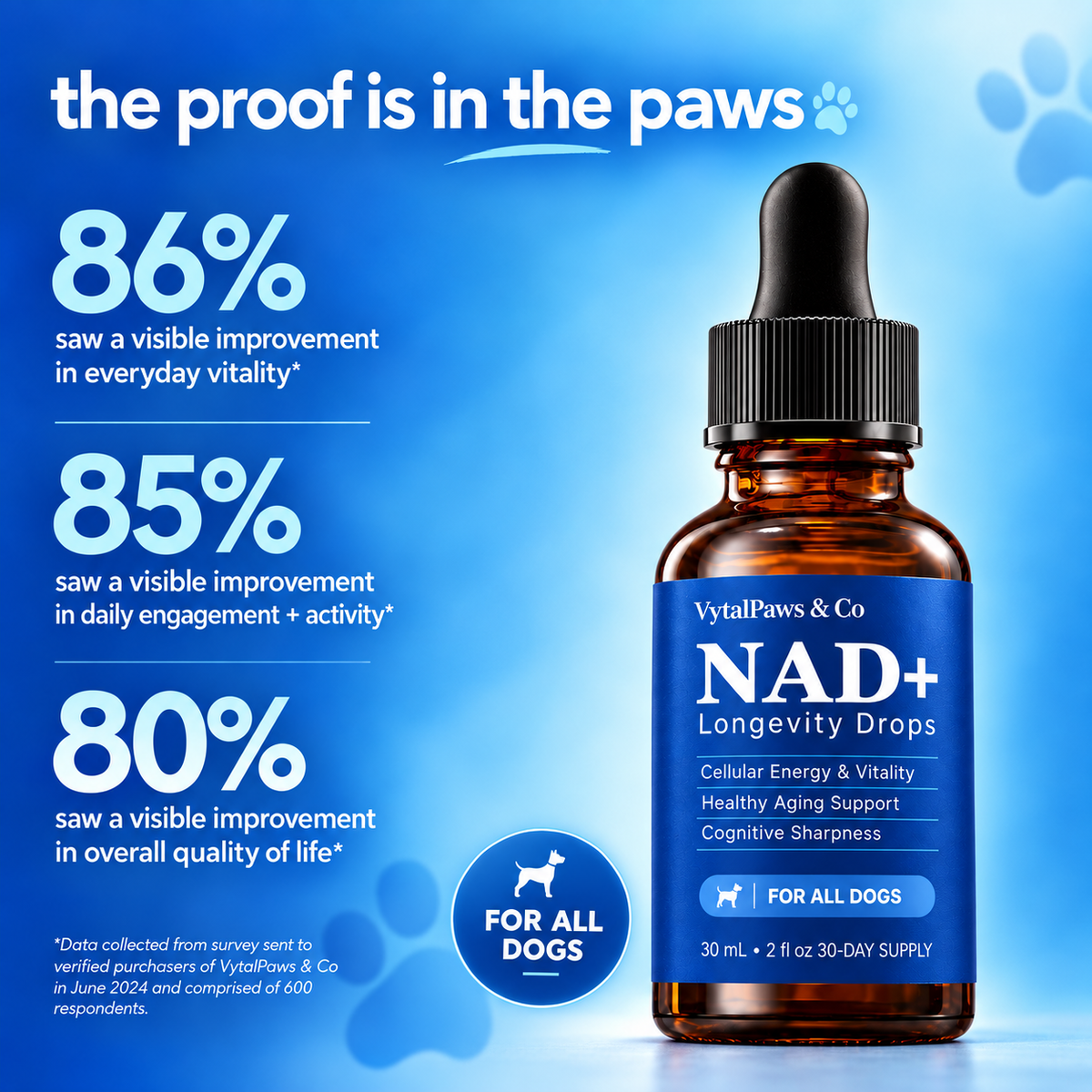 Vytal Paws — NAD+ Healthy-Ageing Support
