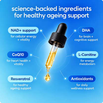 Vytal Paws — NAD+ Healthy-Ageing Support