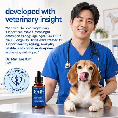Vytal Paws — NAD+ Healthy-Ageing Support