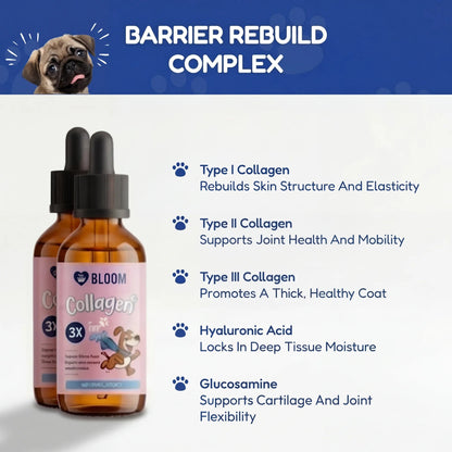 PETVITA™ Triple Collagen