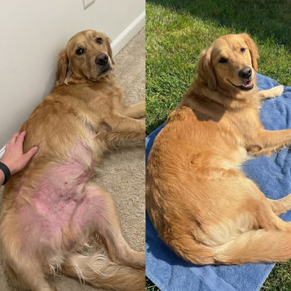 PETVITA™ Triple Collagen